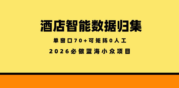 酒店智能数据归集，小众蓝海已经稳定半年之久，单窗口70+零成本矩阵开干【揭秘】-龙祁轻创社区