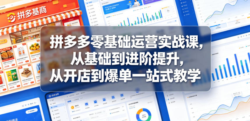 拼多多零基础运营实战课，从基础到进阶提升，从开店到爆单一站式教学-龙祁轻创社区