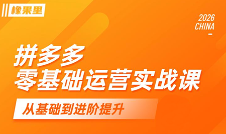 仙道电商·拼多多零基础运营实战课-龙祁轻创社区