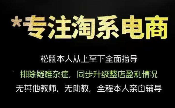松鼠会电商VIP课程，从基础布局到高阶优化，助你掌握淘宝运营逻辑，提升店铺流量与转化-龙祁轻创社区