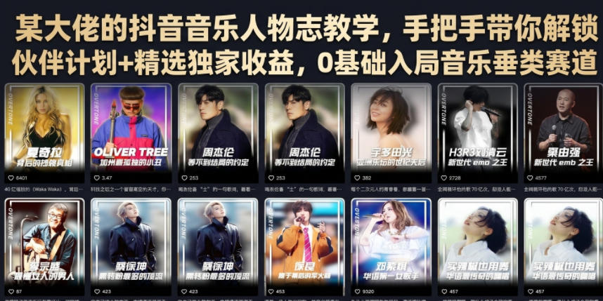 某大佬的抖音音乐人物志教学，手把手带你解锁伙伴计划+精选独家收益，0基础入局音乐垂类赛道-龙祁轻创社区