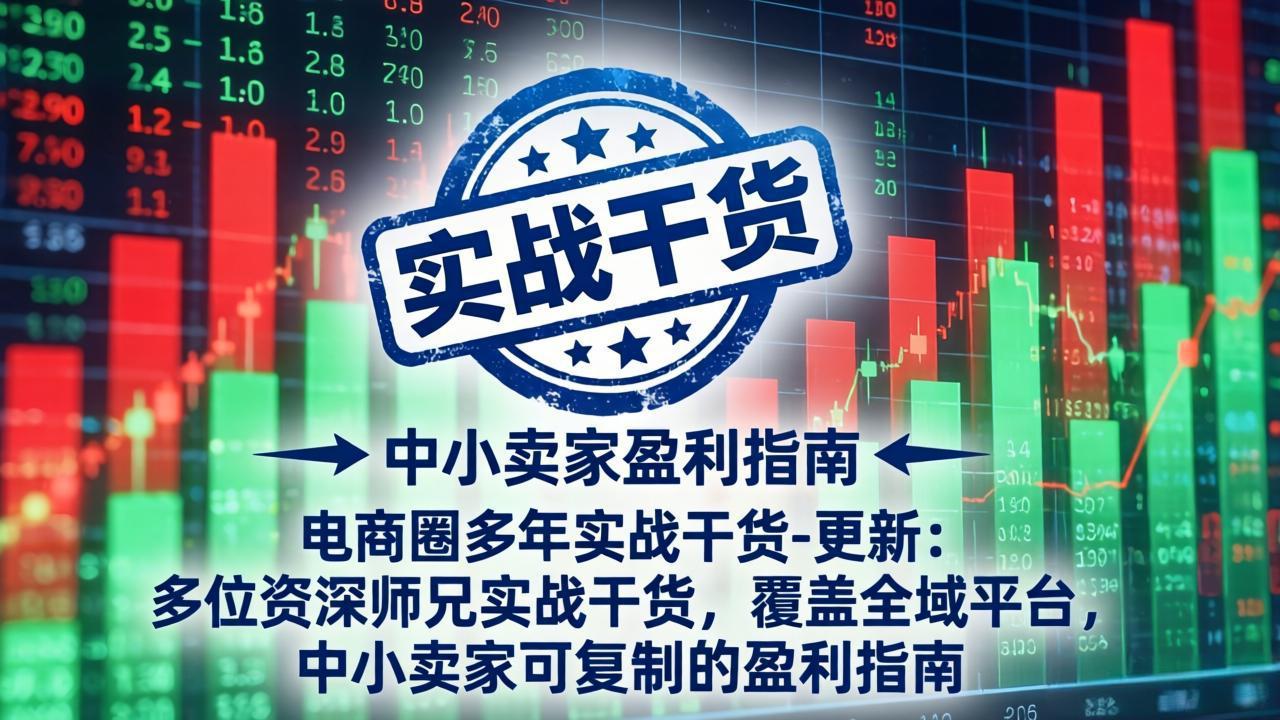 电商圈多年实战干货-更新2026：多位资深师兄实战干货/覆盖全域平台，中小卖家可复制的盈利指南-龙祁轻创社区